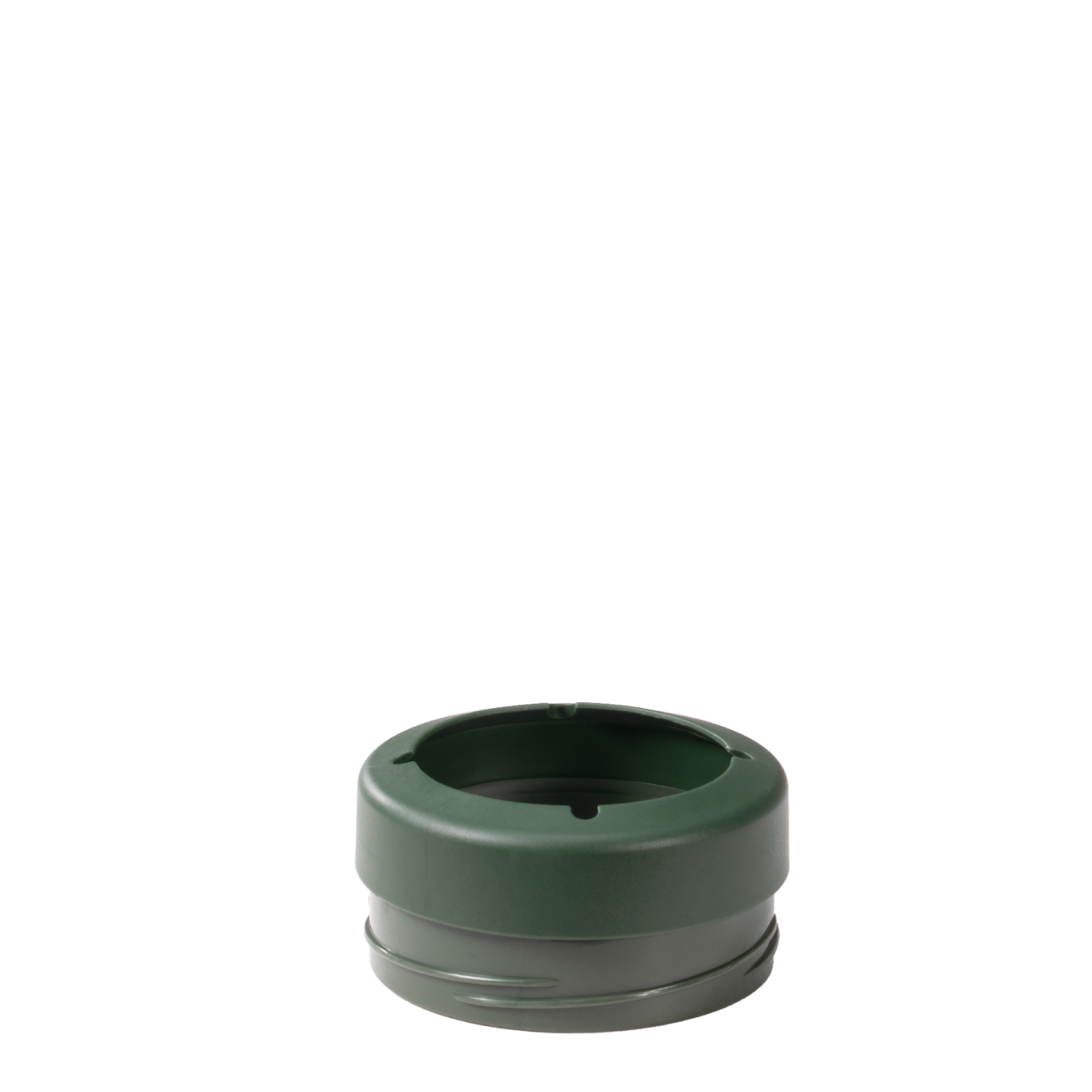 Pine - Image 4