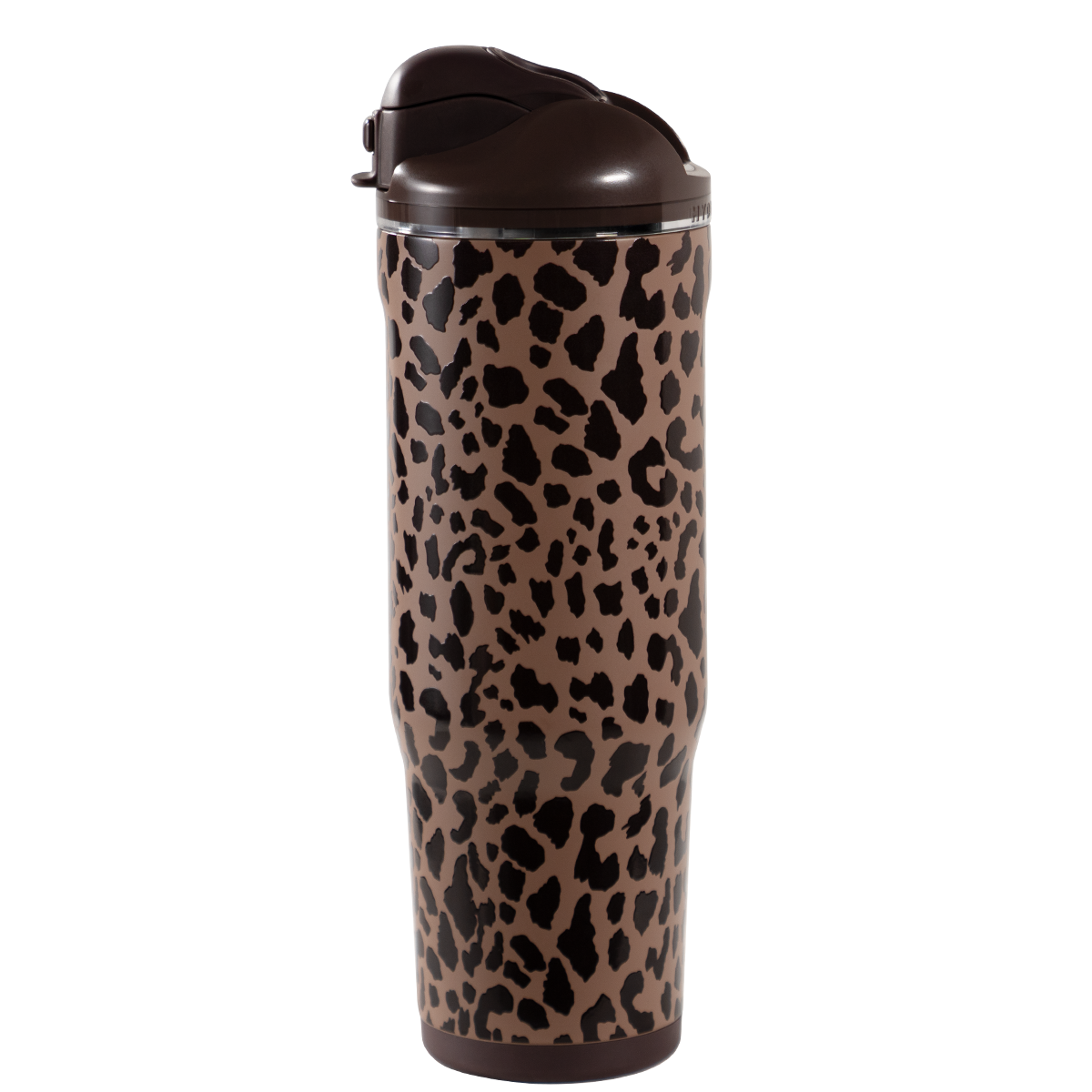 Brown Leopard - Image 4