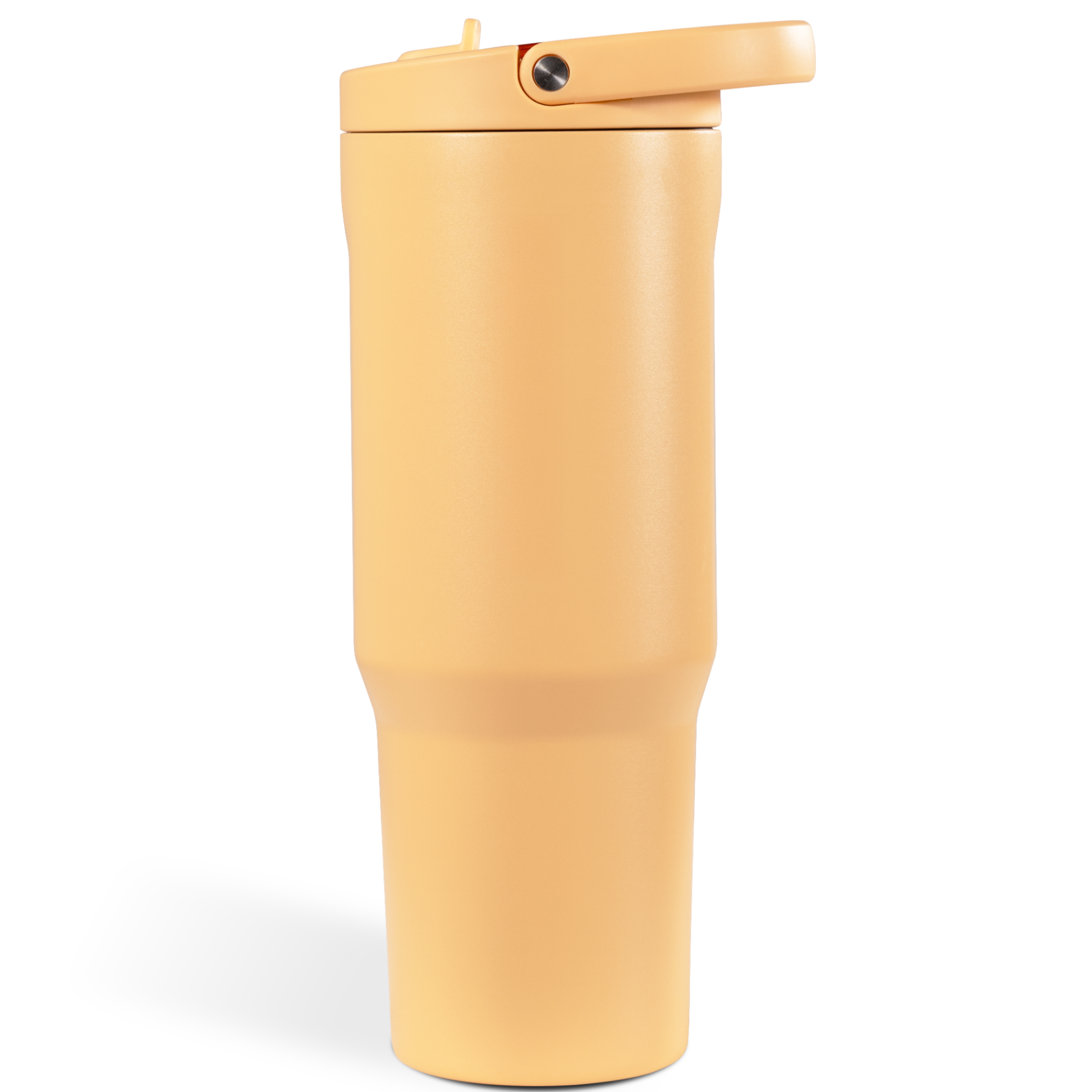 Marigold - Image 4