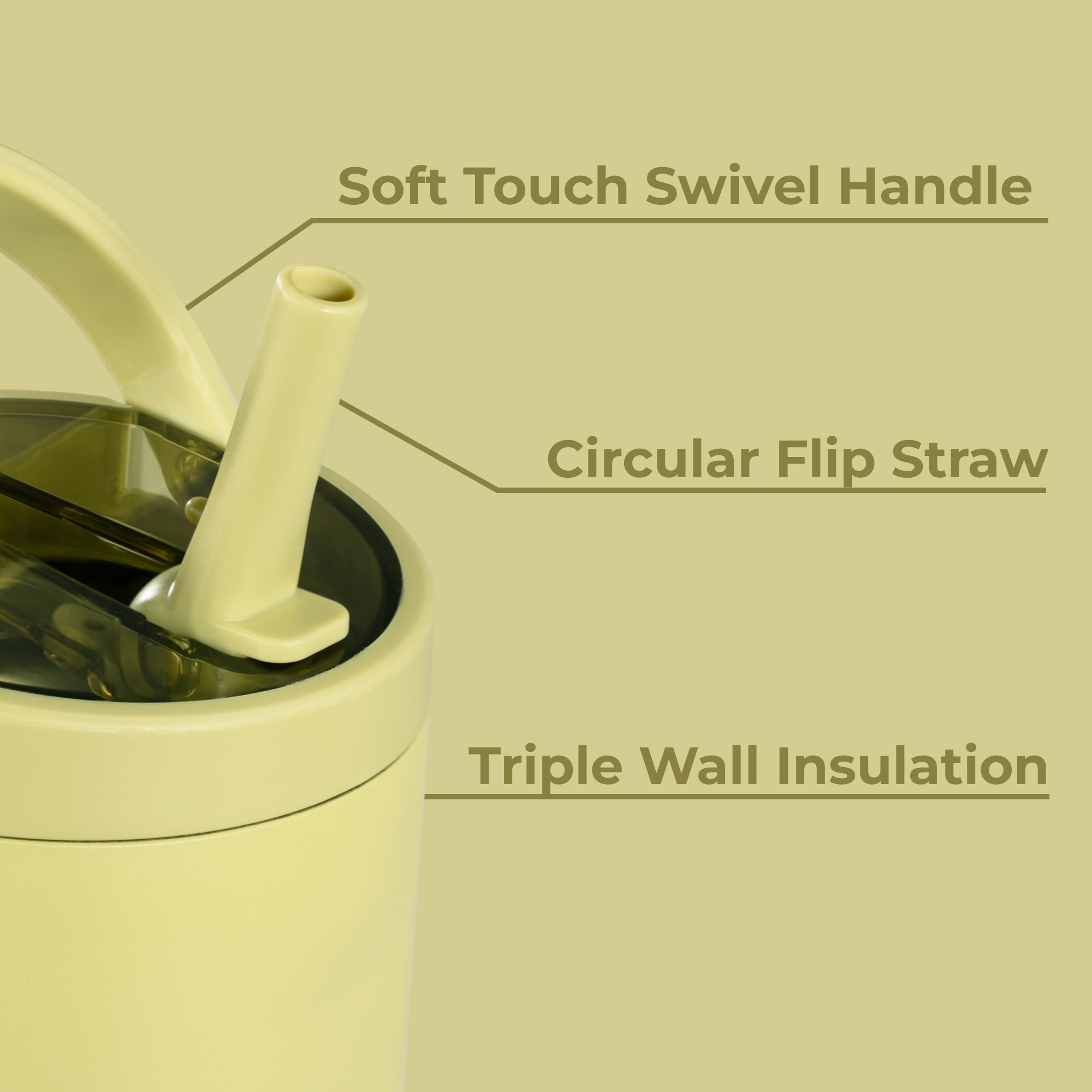 Olive - Image 6