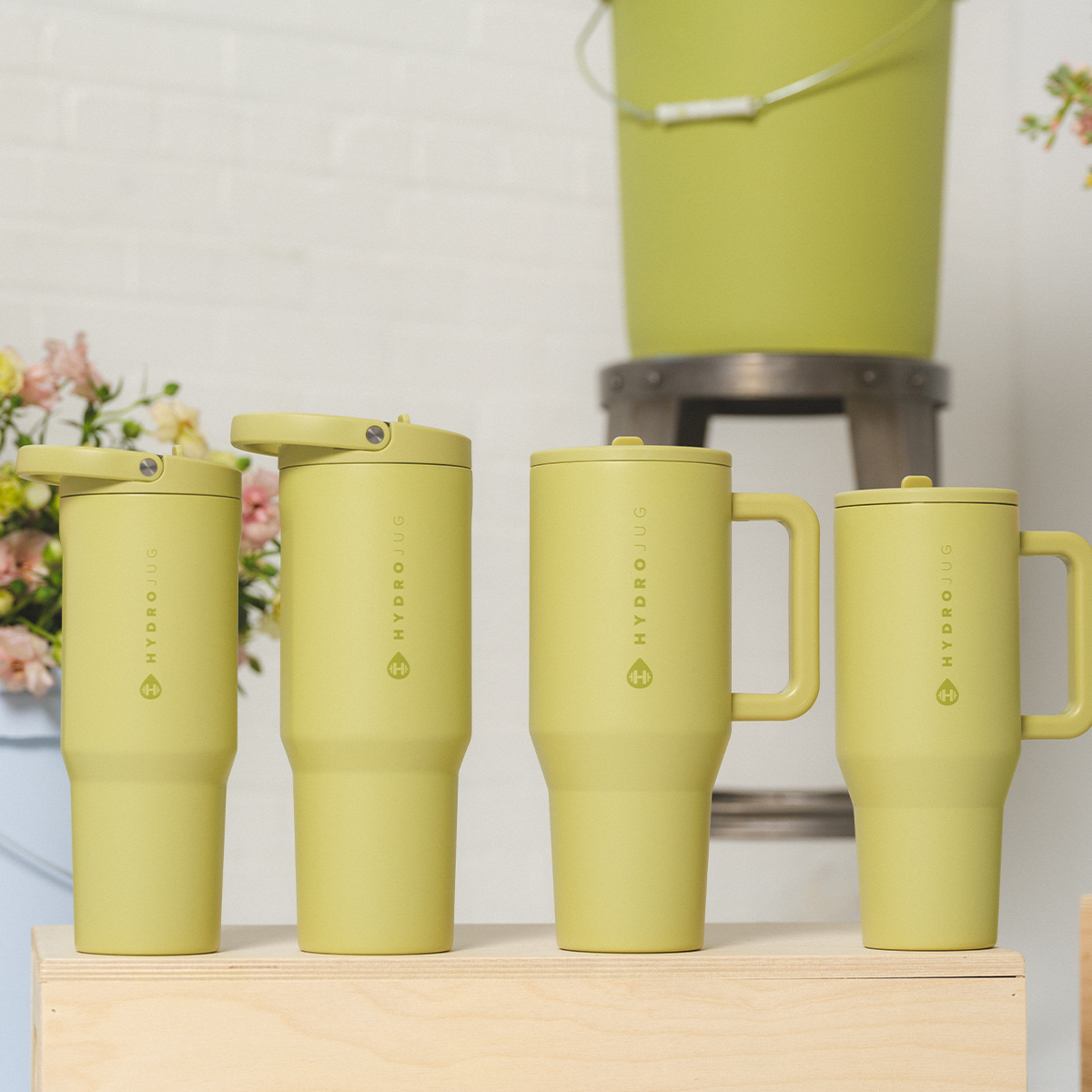 Olive - Image 7