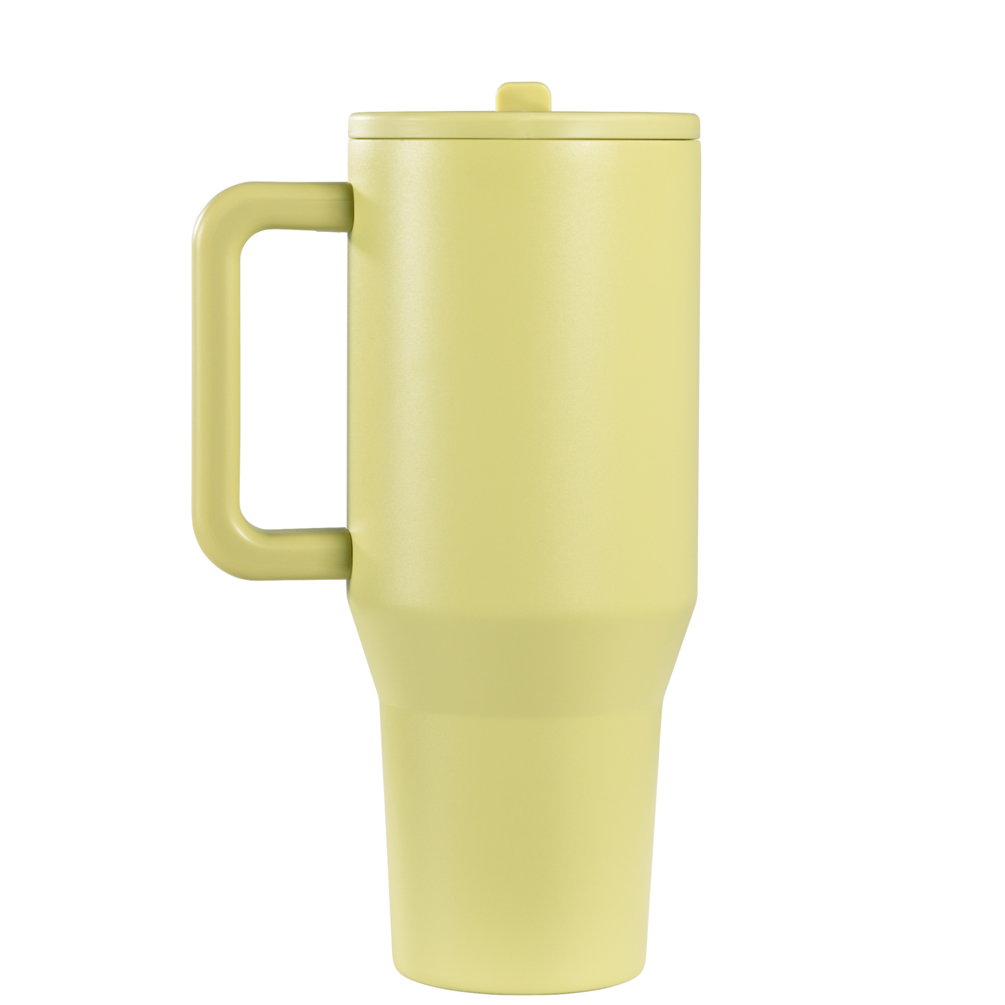 Olive - Image 4